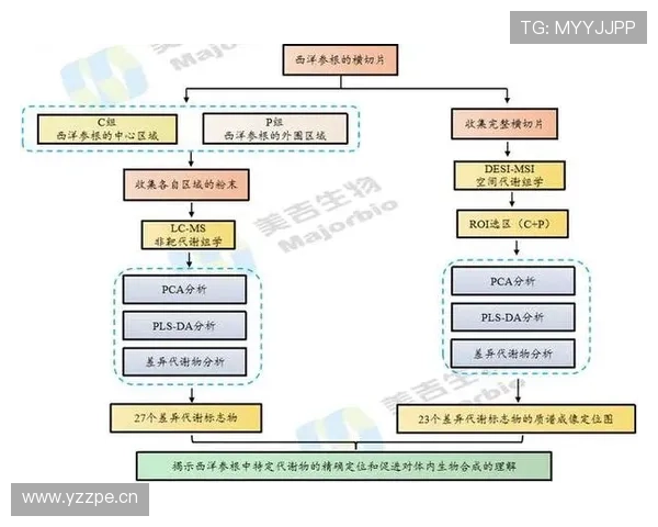 阿什拉夫与坎塞洛推进方式与技术路线差异解析 阿什拉夫与坎塞洛推进方式与技术路线差异解析