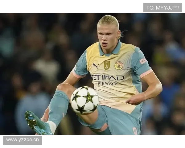 哈兰德与范尼禁区嗅觉及终结效率对比分析